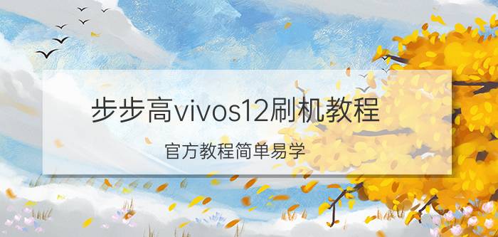 步步高vivos12刷机教程 官方教程简单易学